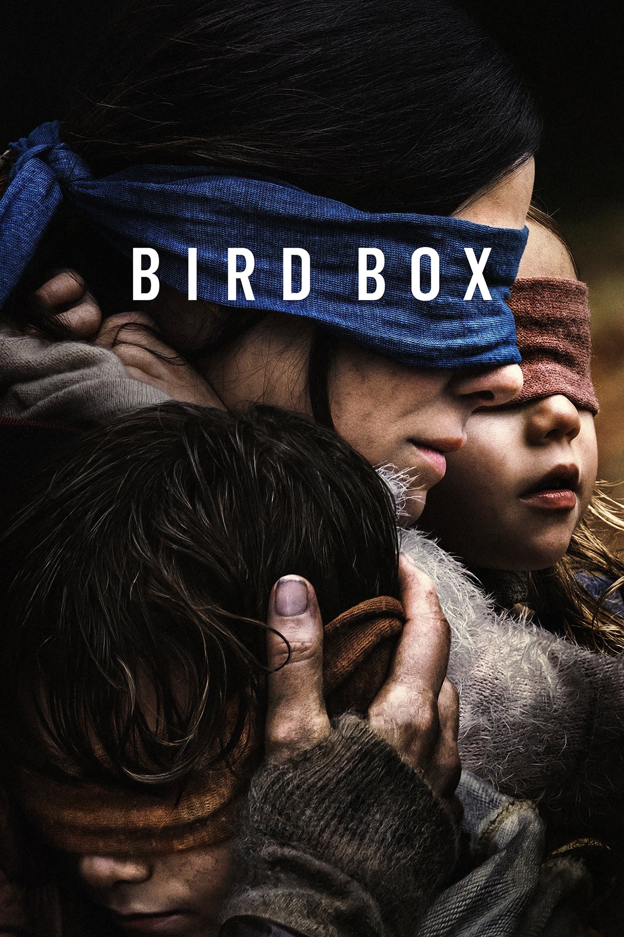 Bird Box poster