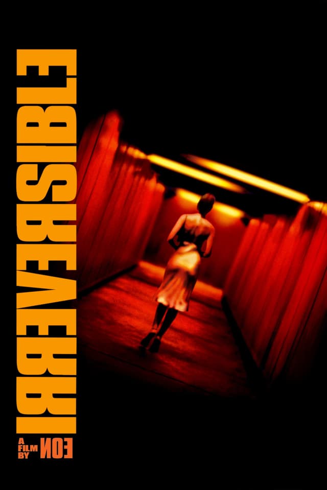 Irréversible poster